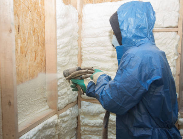  St Louis, MI Insulation Services Pros